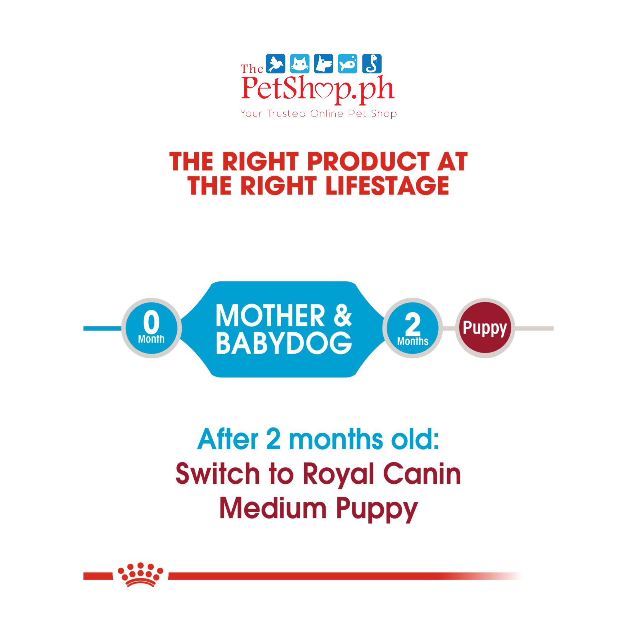 Royal Canin Size Medium Starter Mother & Babydog 4kg Dry Dog Food