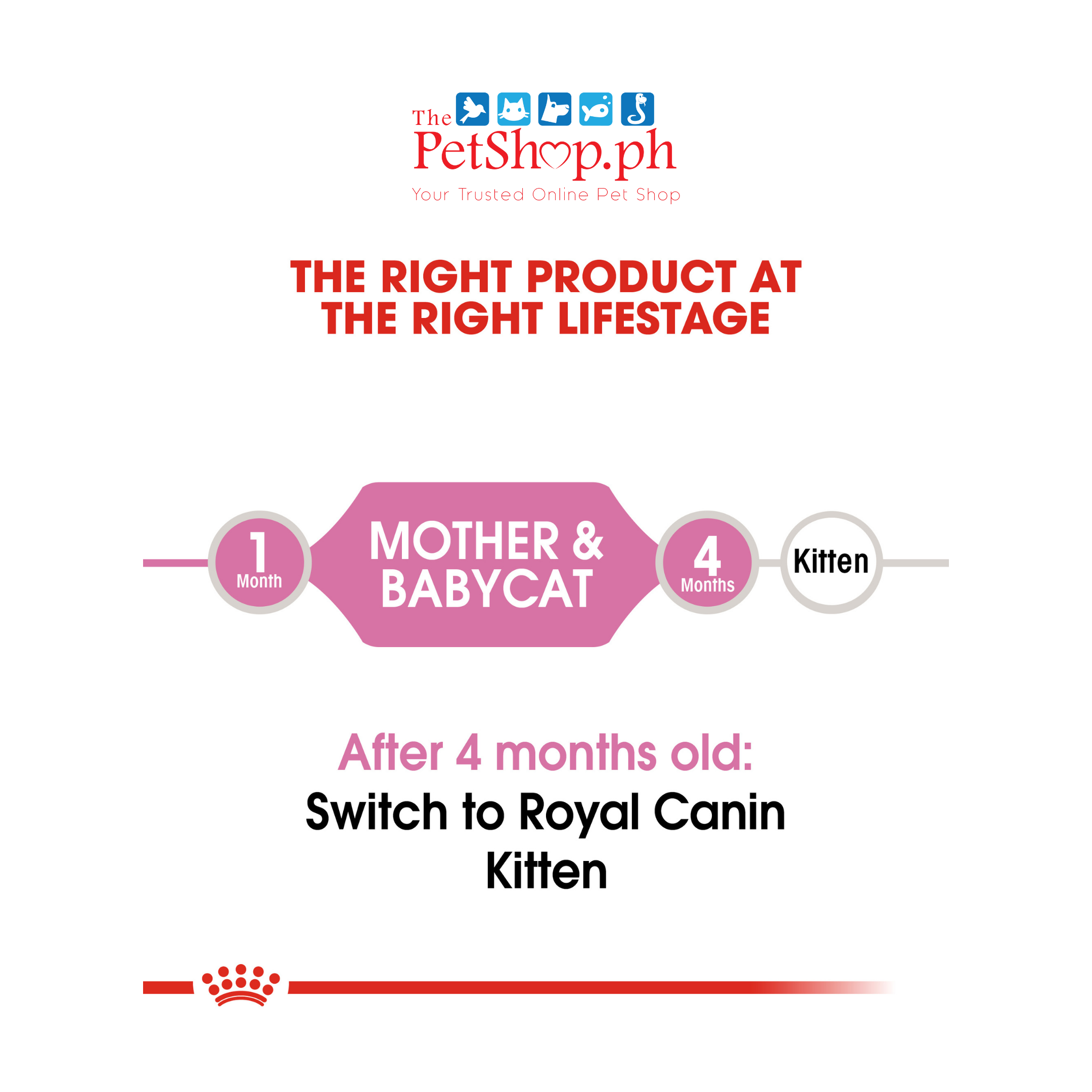 Royal Canin Mother & Babycat Dry Cat Food 400g