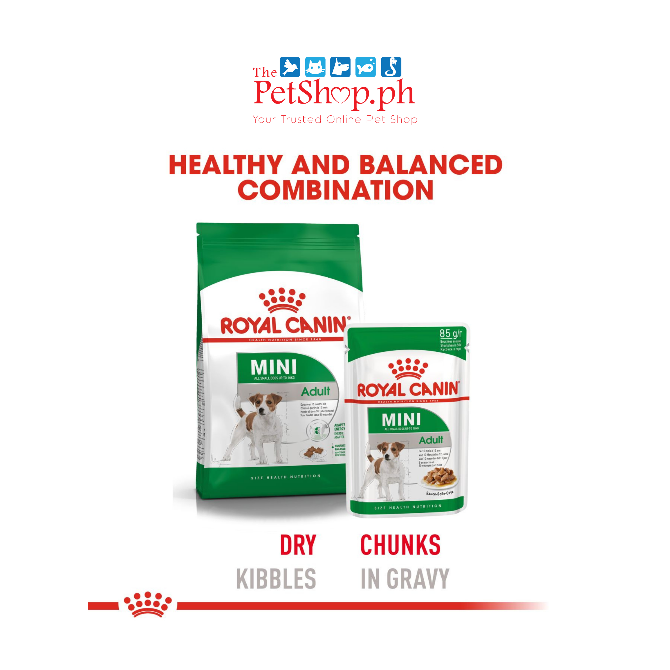 Royal Canin Mini Adult Wet Dog Food 85g -Size Health Nutrition 