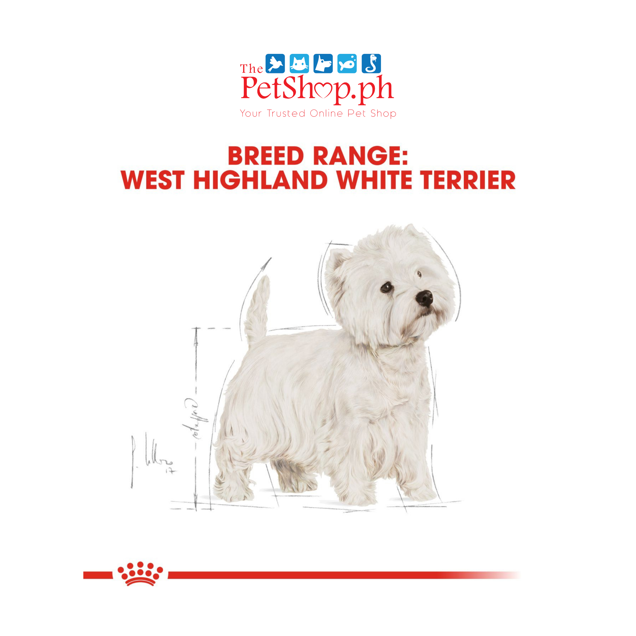 Royal Canin West Highland Terrier 1.5kg  West Adult Dry Dog Food Breed Health Nutrition