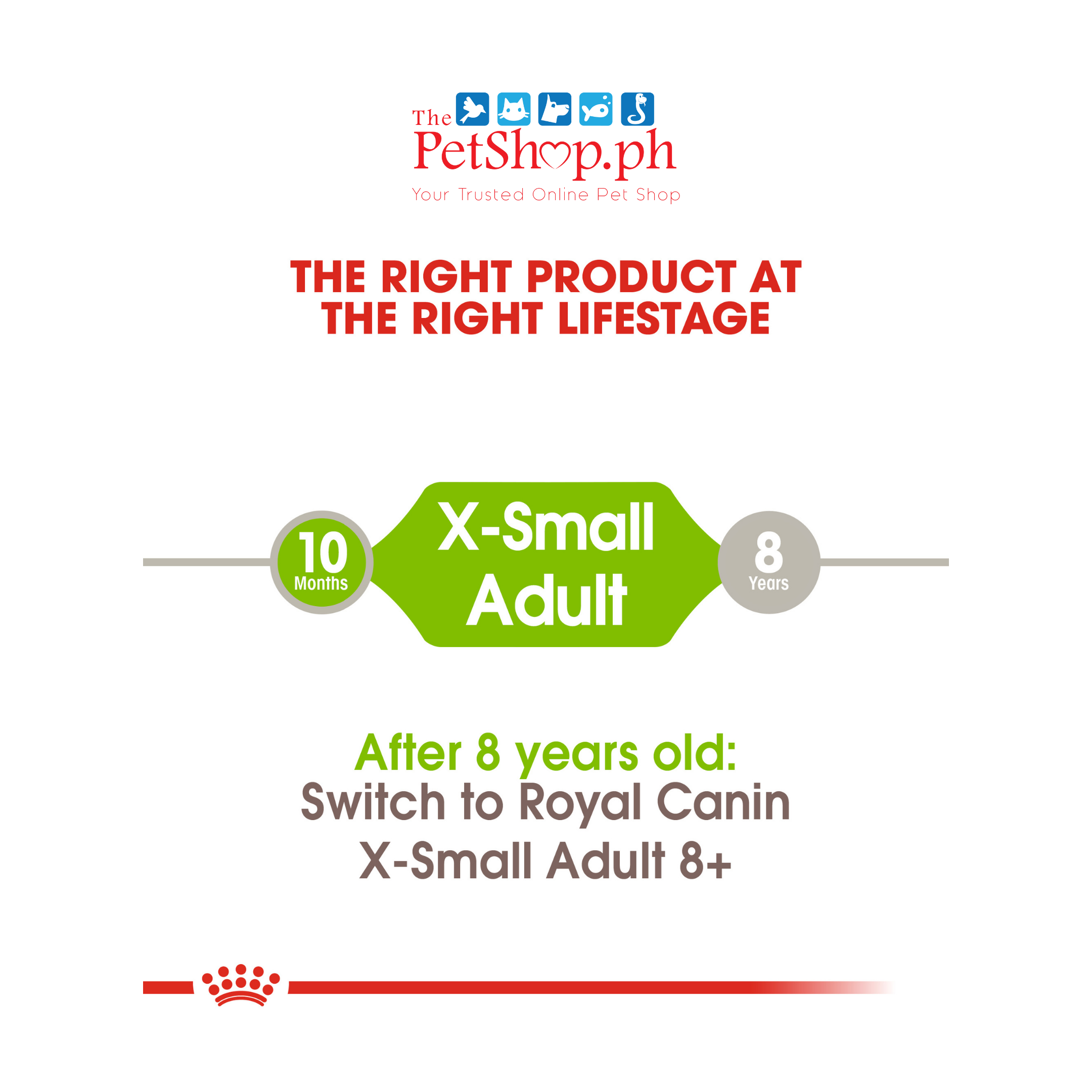 Royal Canin Size Health Nutrition X-Small Adult 500g Dry Dog Food