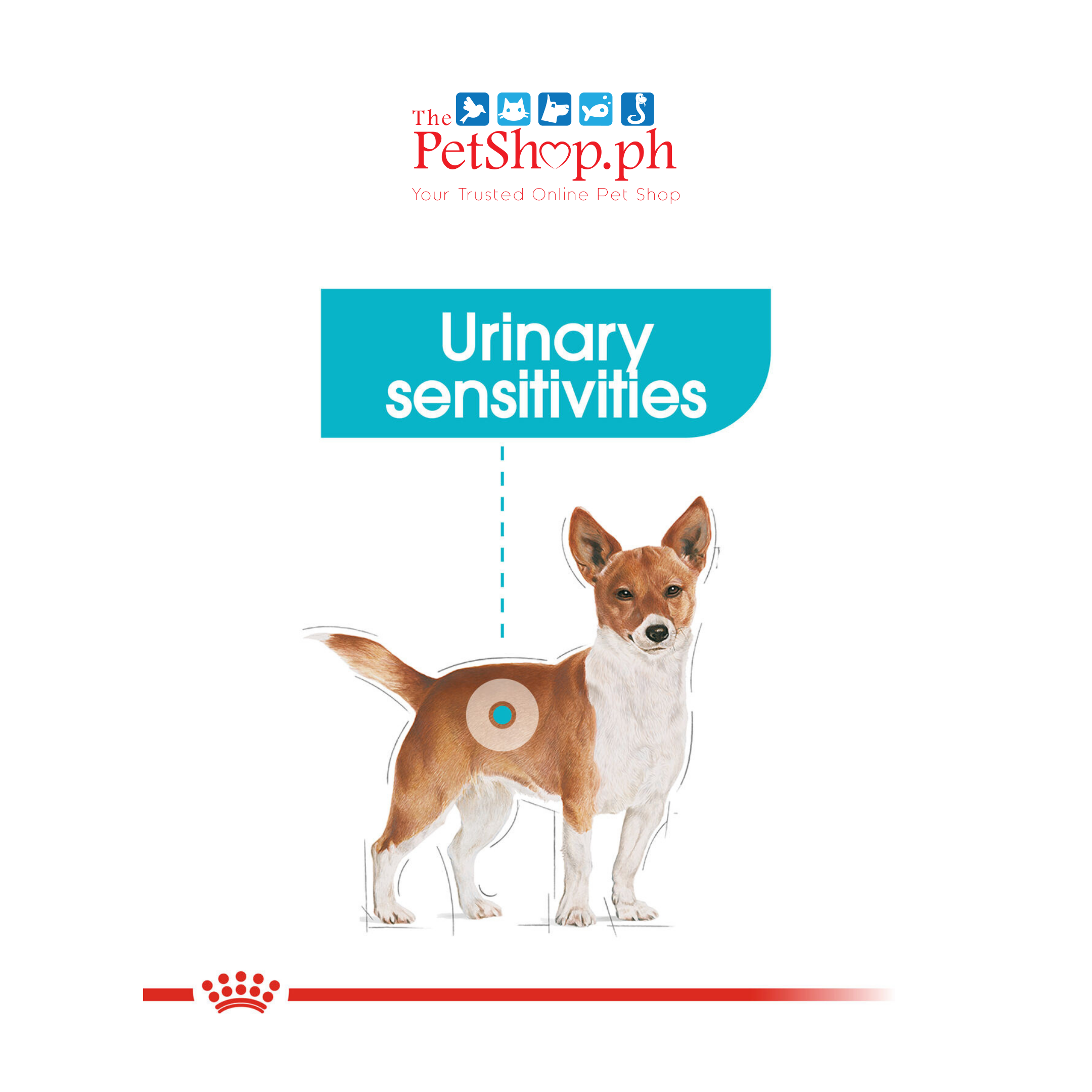 royalcanin