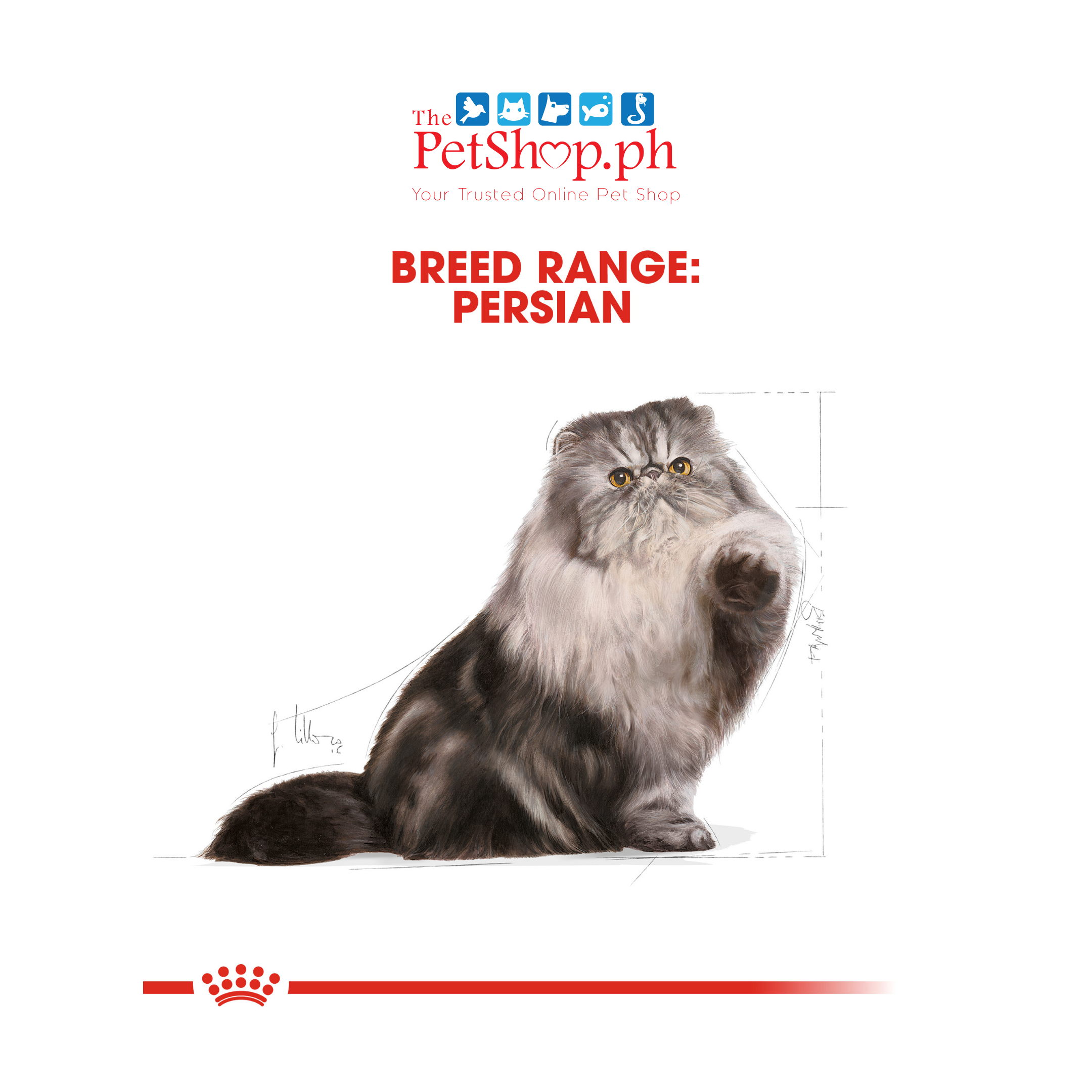 Royal Canin Feline Breed Nutrition Persian Adult Dry Cat Food 2kg