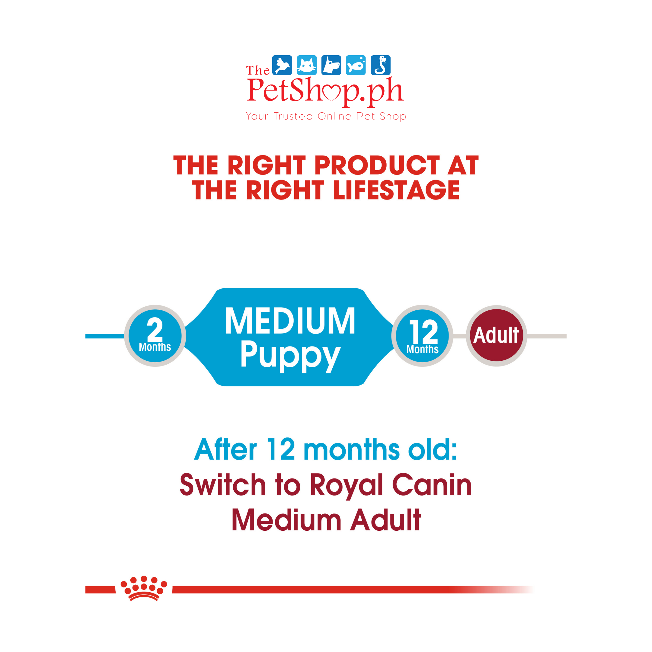 Royal Canin Medium Puppy 1kg Dry Dog Food-Size Health Nutrition 