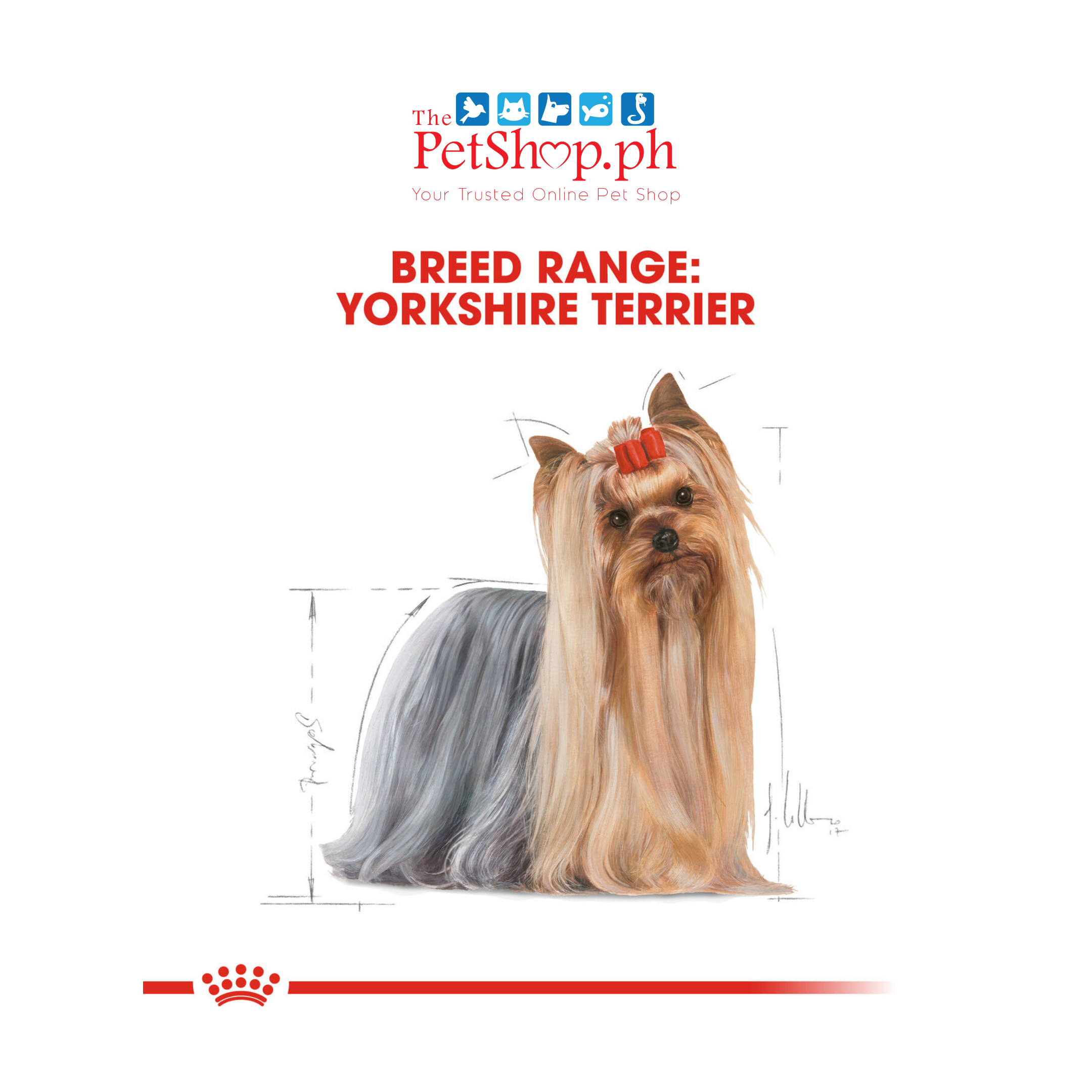 Royal Canin Yorkshire Adult 1.5kg  Dry Dog Food- Breed Health Nutrition