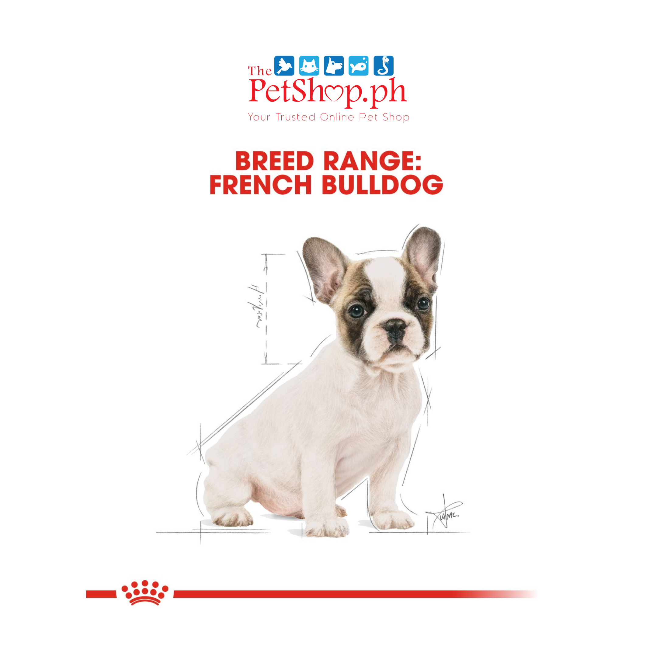 Royal Canin  French Bulldog 3kg Puppy Dry Dog Food Breed Health Nutrition