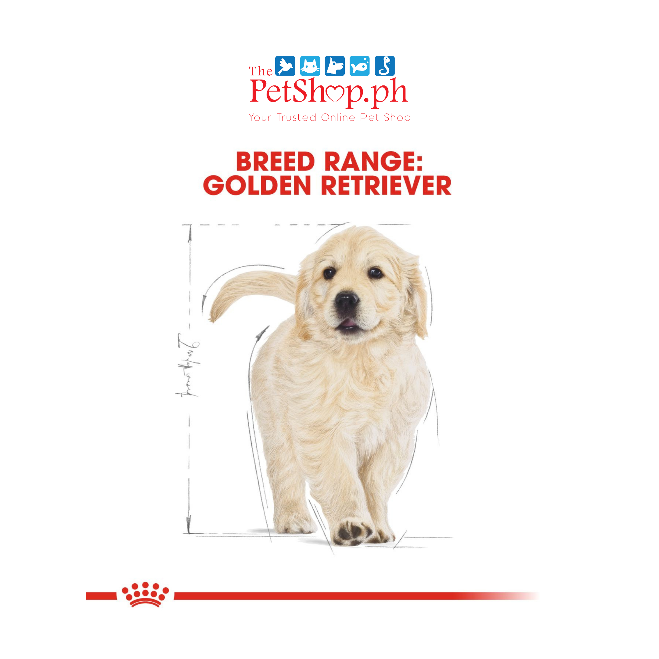 Royal Canin Golden Retriever Puppy 3kg Dry Dog Food Breed Health Nutrition