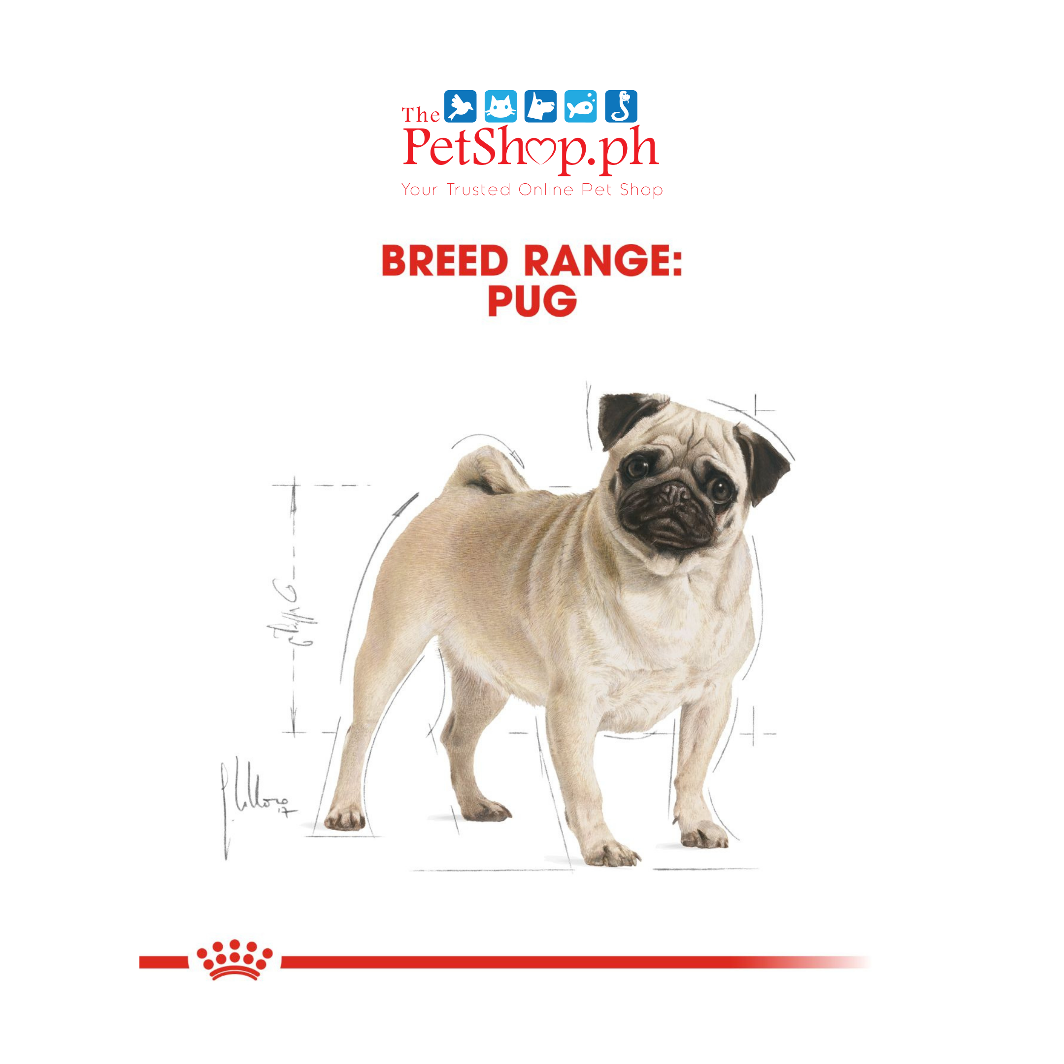 Royal Canin Pug 1.5kg Adult Dry Dog Food Breed Health Nutrition