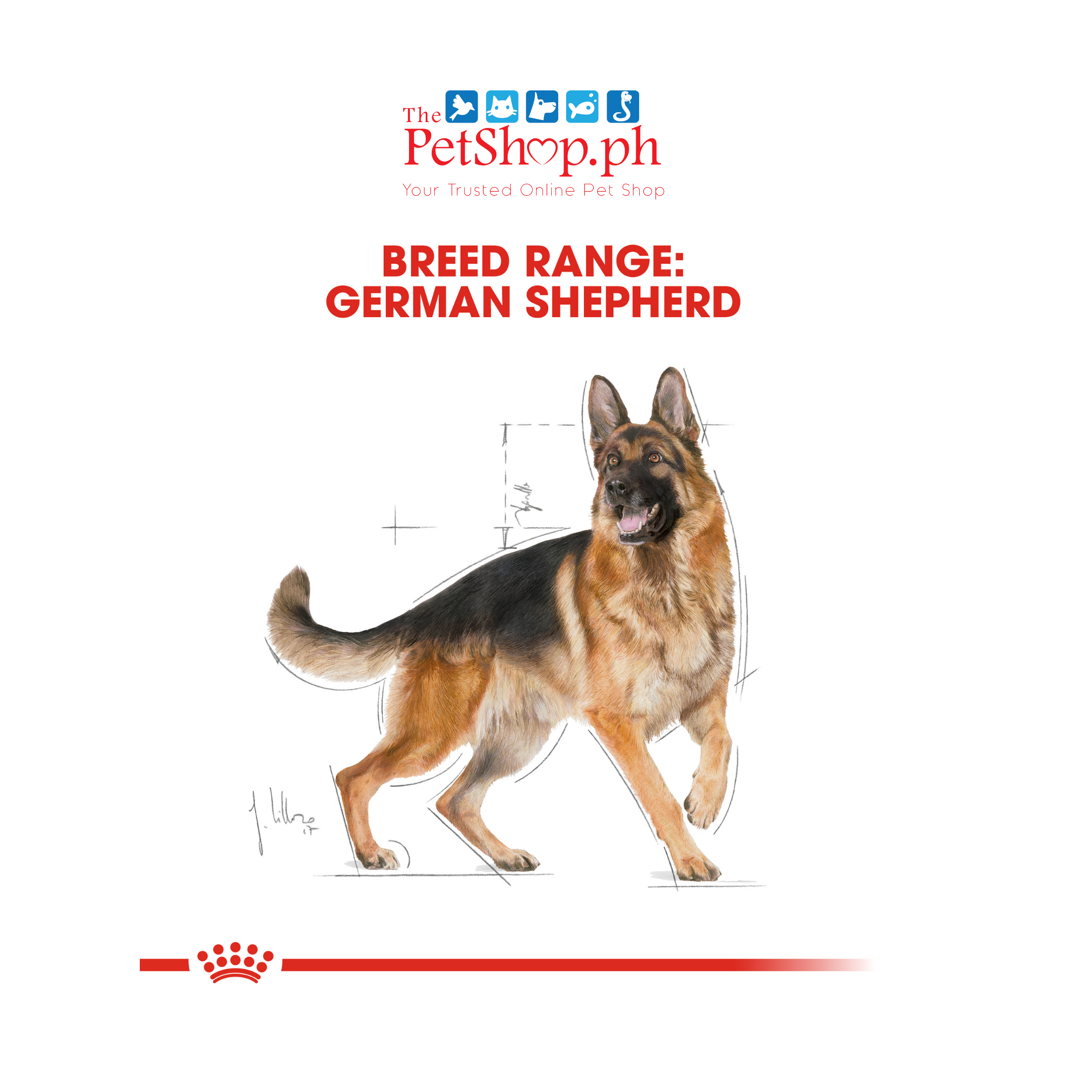 Royal Canin German Shepherd 3kg. Adult Dry Dog Food - Breed Health Nutrition