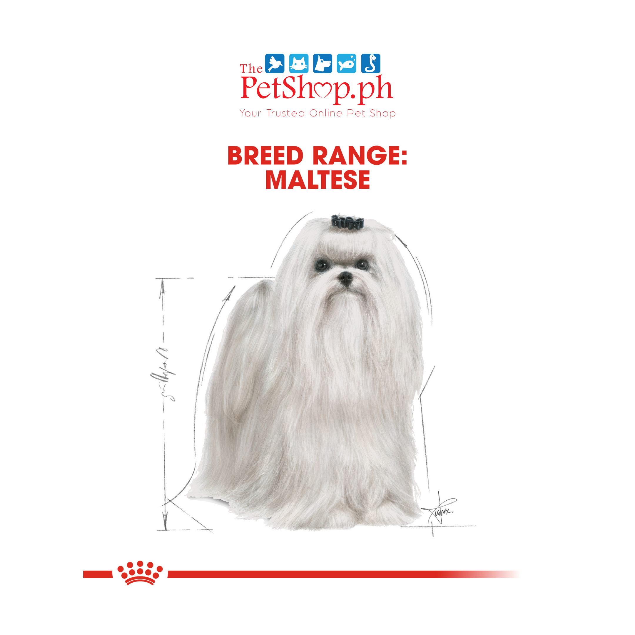 Royal Canin Maltese Adult 500g Dry Dog Food  Original- Breed Health Nutrition