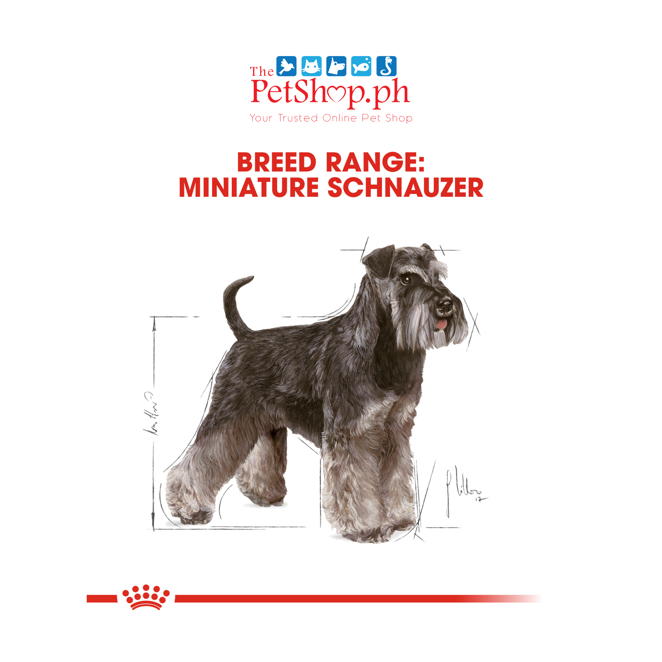 Royal Canin Miniature Schnauzer Adult 3kg Dry Dog Food - Breed Health Nutrition