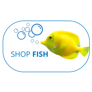 For Fish