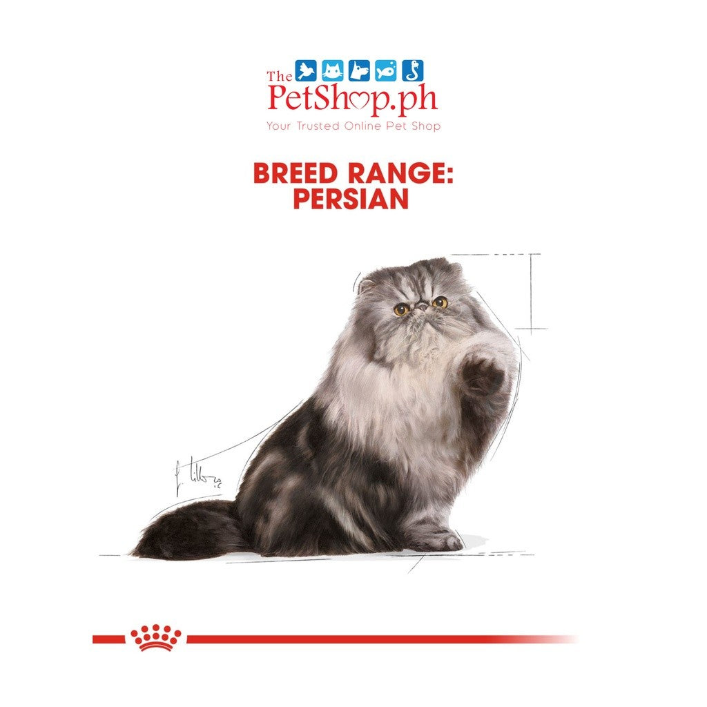Royal Canin  Persian Adult Wet 85g Cat Food Feline Breed Nutrition