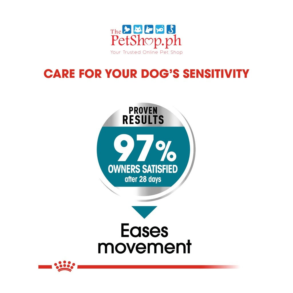 Royal Canin Maxi Joint Care 3kg Adult Dry Dog Food - Canine Care Nutrition