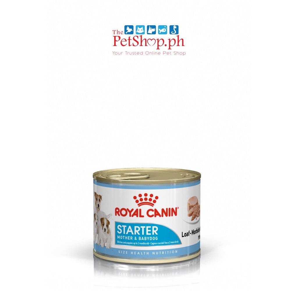 Royal Canin Mother & Babydog 195g Starter Mousse Wet - Canine Health Nutrition