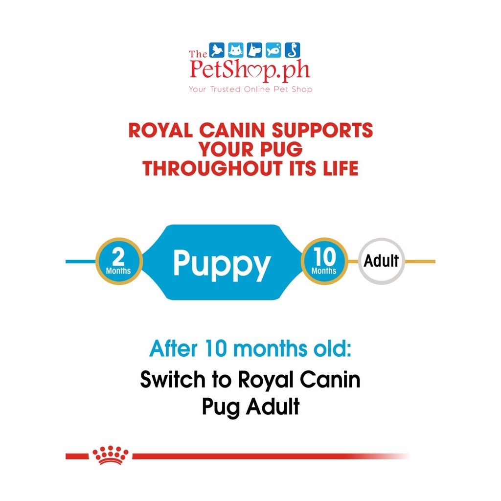 Royal Canin Pug Puppy 1.5kg Original Dry Dog Food Breed Health