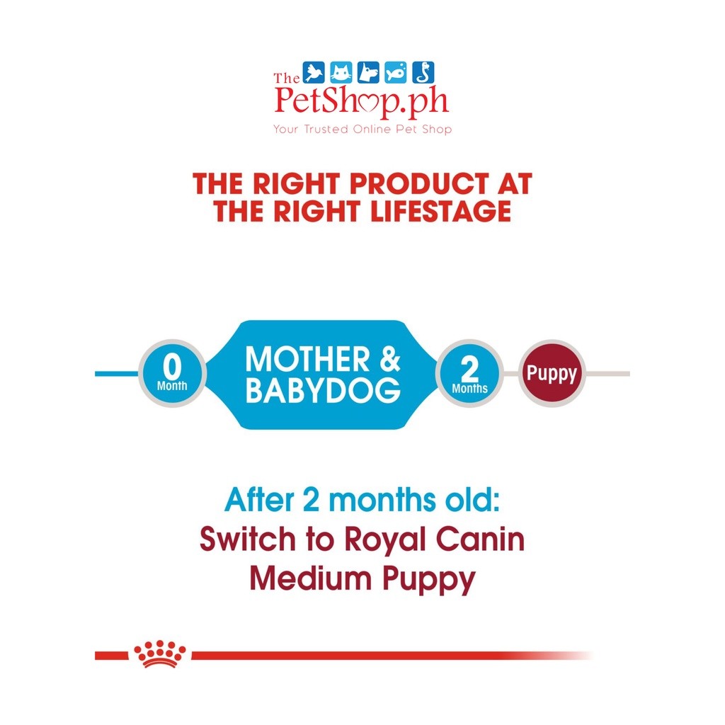 Royal Canin Size Medium Starter Mother & Babydog Dry Dog Food 4kg