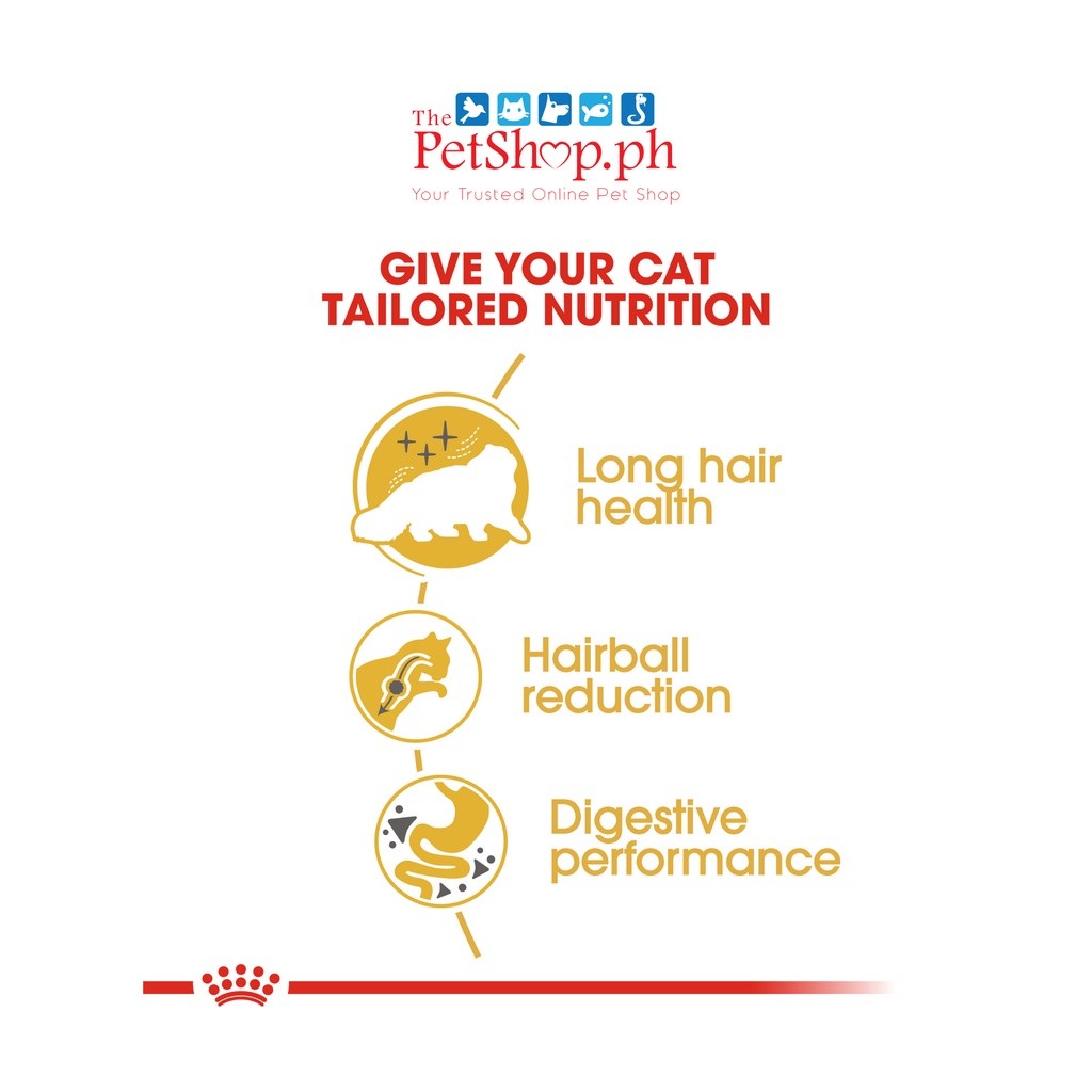 Royal Canin Persian Adult 10kg Dry Cat Food - Royal Canin
