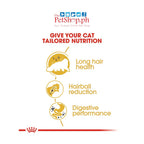 Royal Canin  Persian Adult 2KG Dry Cat Food Feline Breed Nutrition - Royal Canin