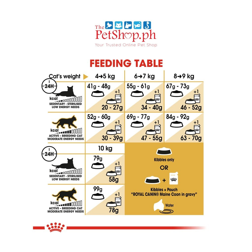 Royal Canin  Maine Coon 2kg Adult Dry Cat Food Feline Breed Nutrition - Royal Canin