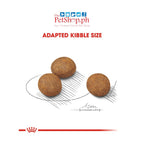 Royal Canin Maxi Puppy 15kg Dry Dog Food - Royal Canin