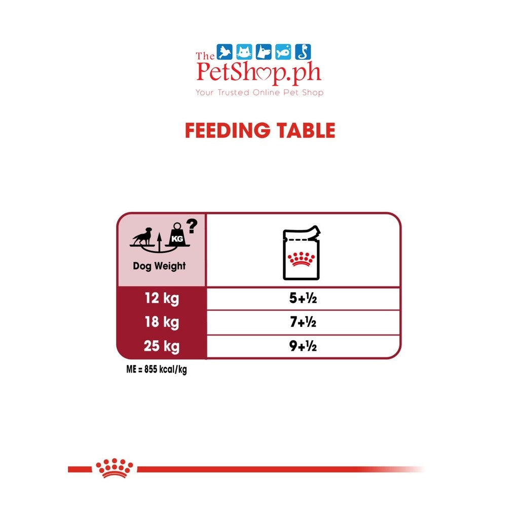 Royal Canin Medium Adult  10's Wet Dog Food  - Set of 10 Size Health Nutrition