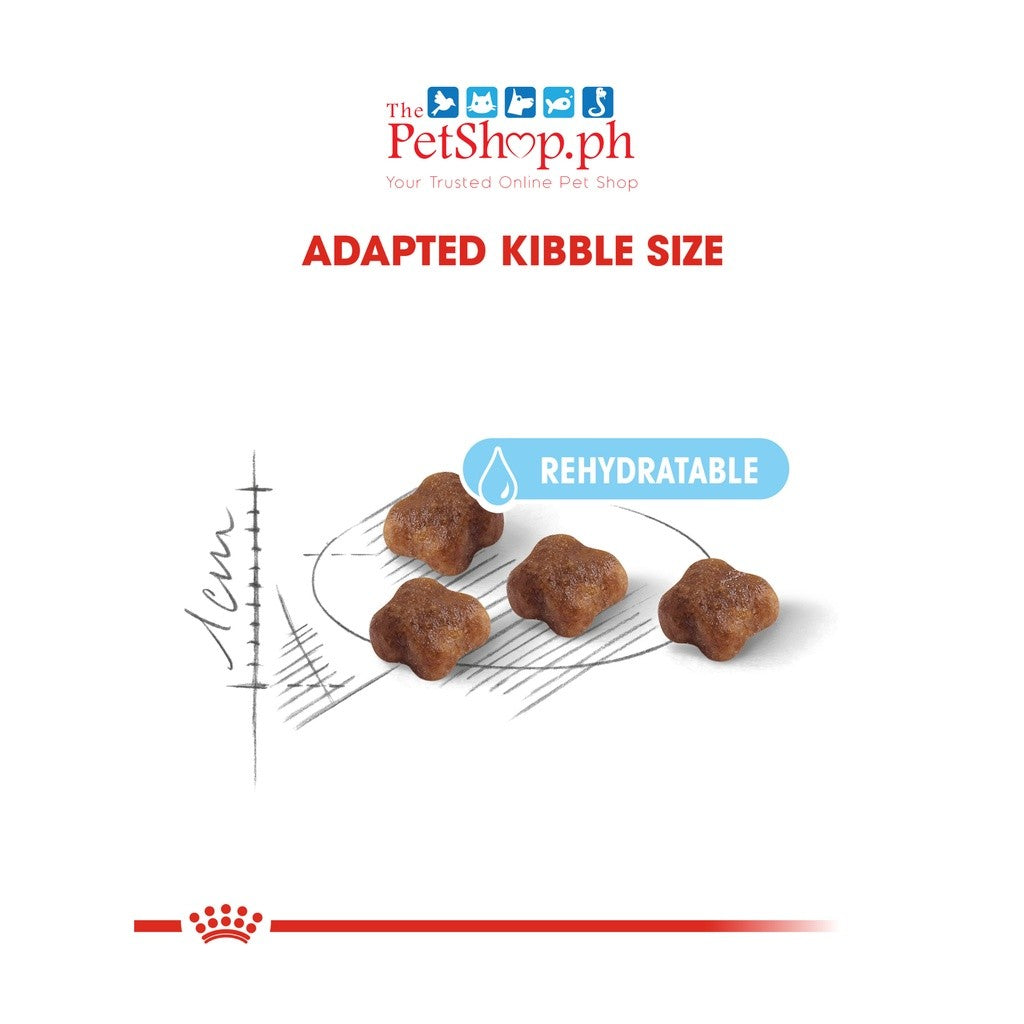 Royal Canin Mother & Babycat 400g
