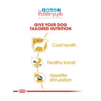 Royal Canin Chihuahua  SET of 12 85g Adult Set 12 Pouch (FREE 1 WET Pouch 85g)
