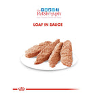 Royal Canin Exigent Loaf SET 12 Picky Eater Canine Care Nutrition 85g