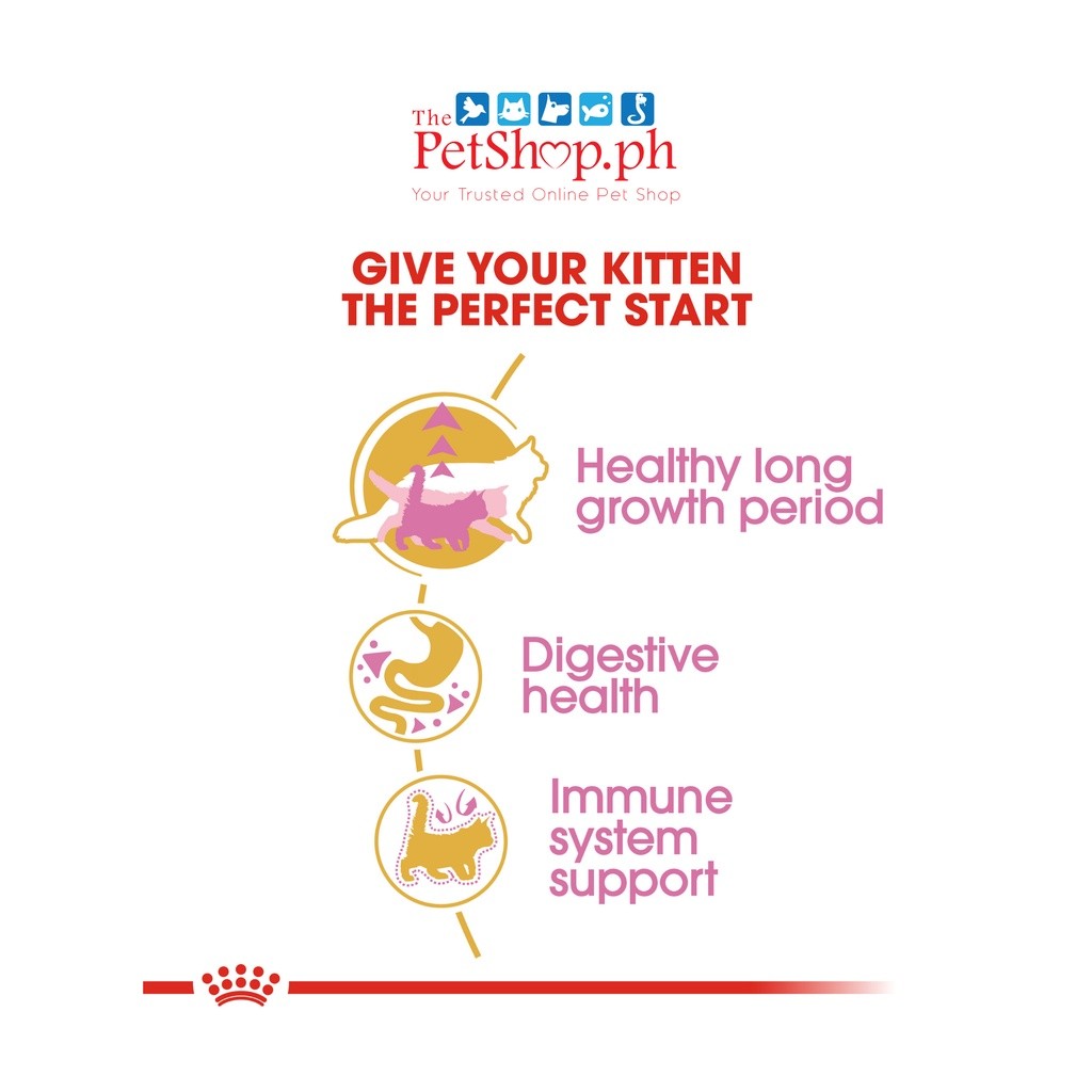 Royal Canin Maine Coon Kitten 2kg Dry Cat Food - Feline Breed Nutrition