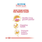 Royal Canin Maine Coon Kitten 2kg Dry Cat Food - Feline Breed Nutrition