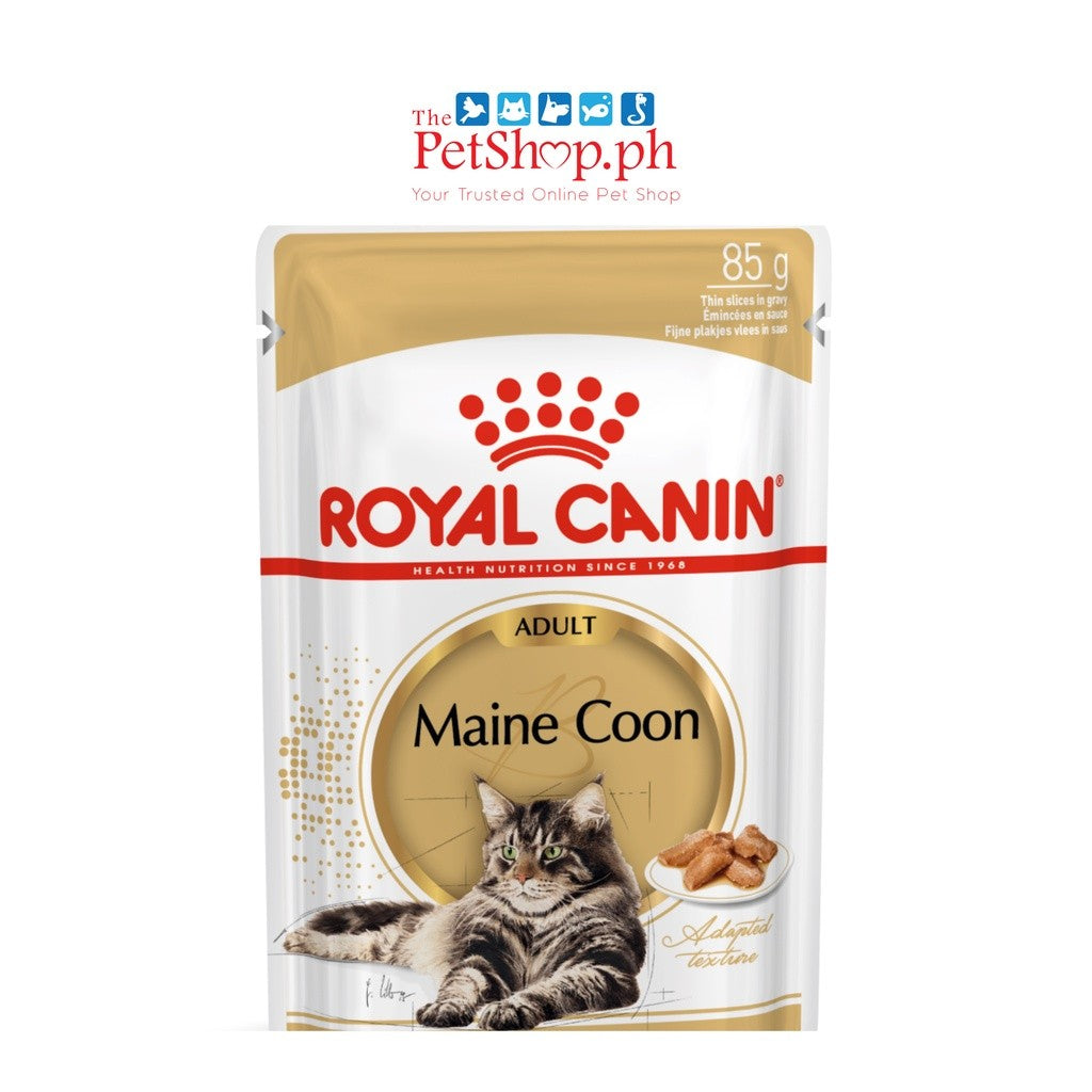 Royal Canin  Maine Coon  85g Adult Wet Cat Food Feline Breed Nutrition