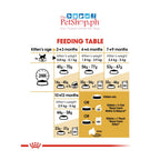 Royal Canin British Shorthair Kitten 2kg Dry Cat Food Feline Breed Nutrition - Royal Canin
