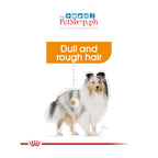 Royal Canin Mini Coat Care Adult 3kg Dry Dog Food  Canine Care Nutrition Loaf