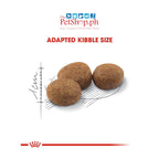 Royal Canin Sterilised 37 400g Adult Dry Cat Food - Feline Health Nutrition