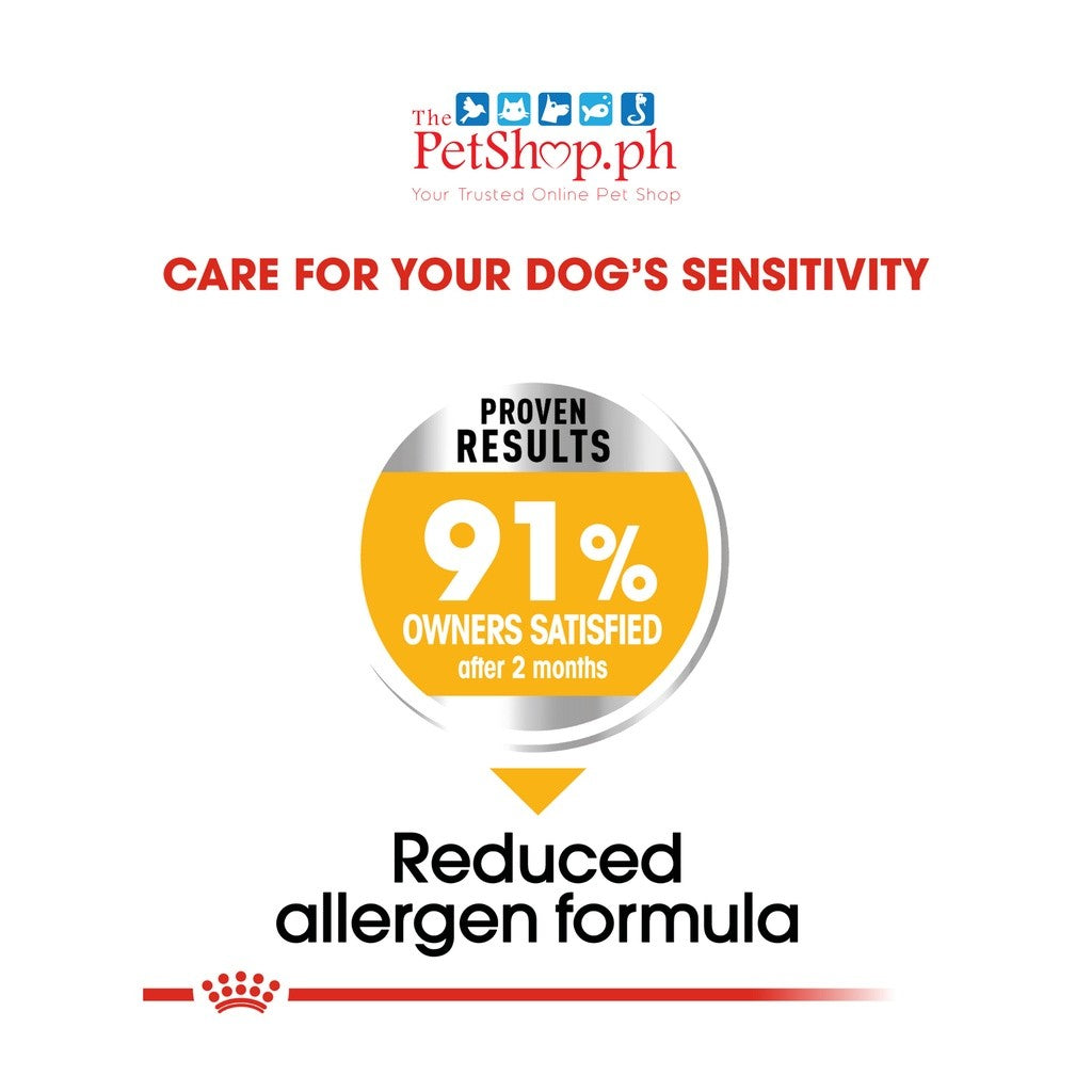 Royal Canin Mini Dermacomfort 8kg Adult Dry Dog Food Canine Care Nutrition - Royal Canin