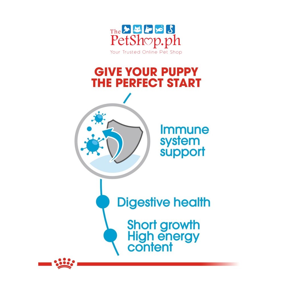 Royal Canin Medium Puppy SET of 10 Wet Dog Food - Size Health Nutrition 140g