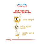 Royal Canin Labrador Retriever 3kg Adult Food-Breed Health Nutrition - Royal Canin