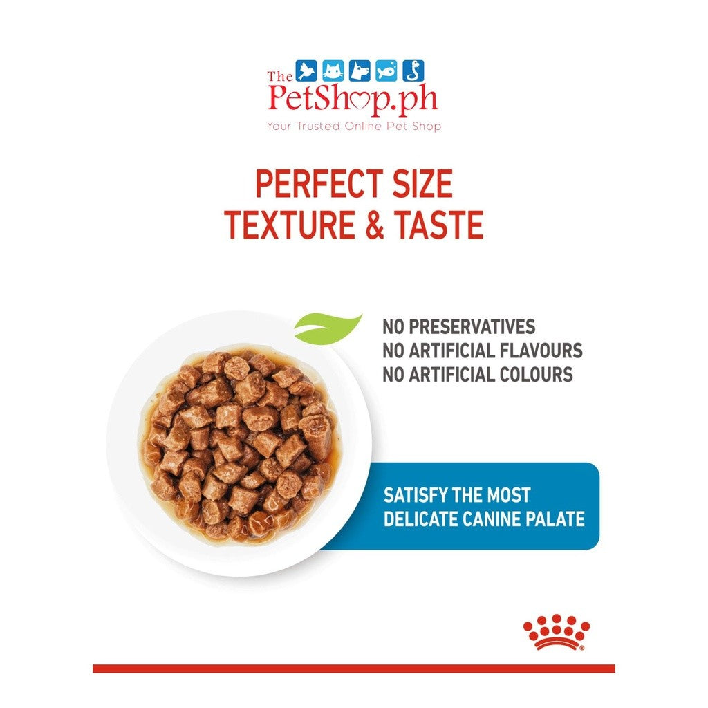Royal Canin X-small Puppy 85g Pouch Wet Dog Food - Size Health Nutrition