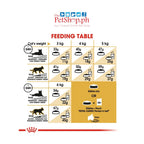 Royal Canin  Persian Adult 2KG Dry Cat Food Feline Breed Nutrition - Royal Canin