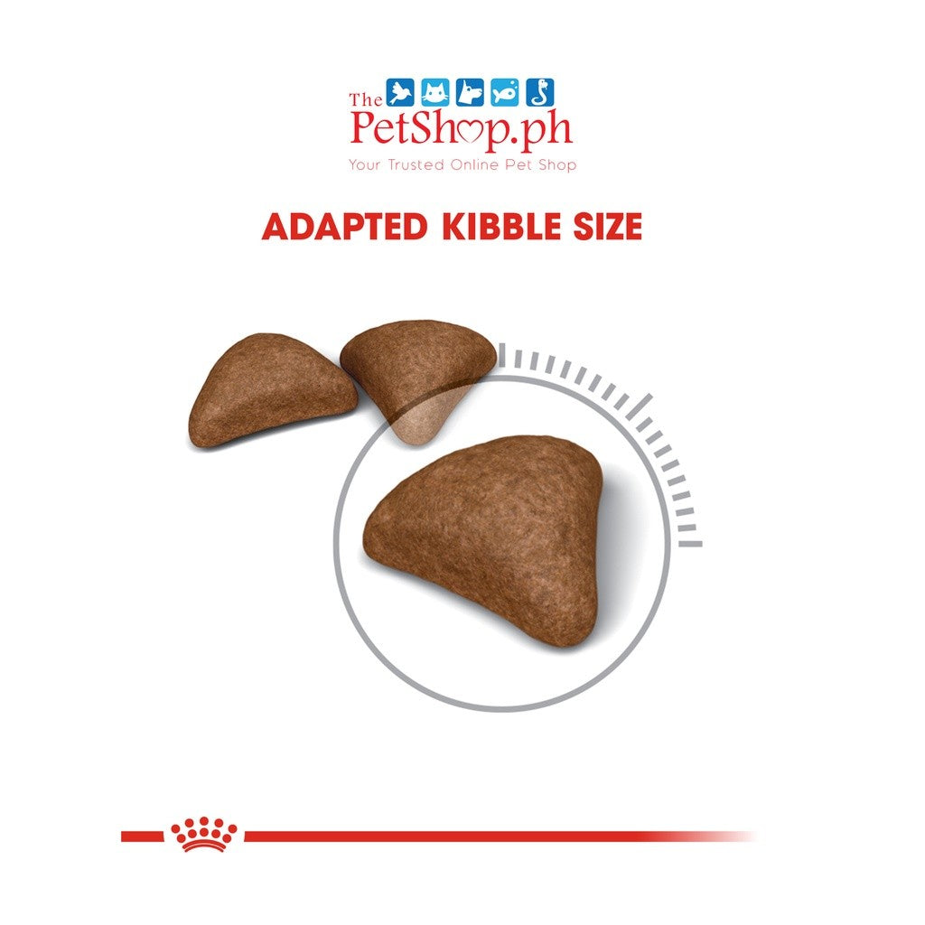 Royal Canin Hairball Care 400g Adult Dry Cat Food-Feline Care Nutrition - Royal Canin