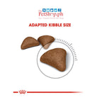 Royal Canin Hairball Care 400g Adult Dry Cat Food-Feline Care Nutrition - Royal Canin
