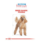 Royal Canin  Poodle Adult 12's Wet Dog Food Pouch  Breed Health Nutrition 12s