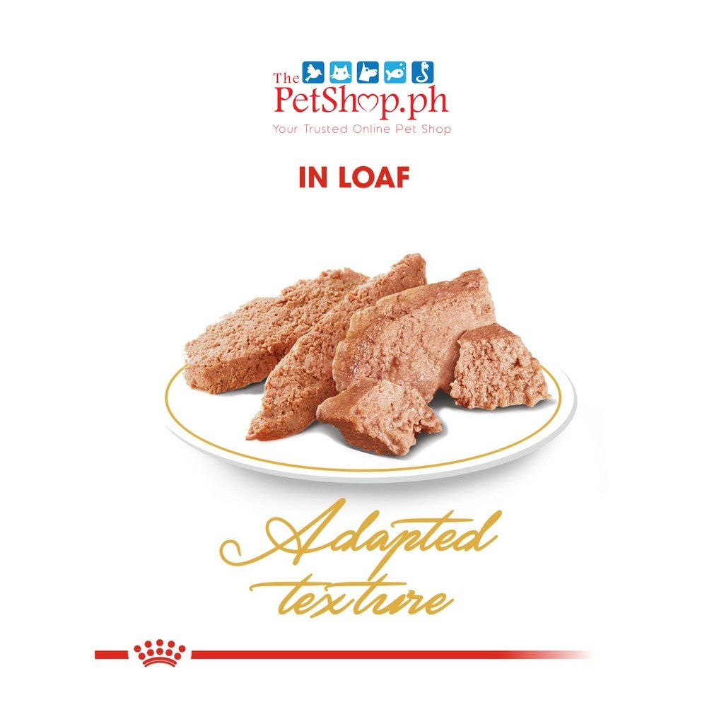 Royal Canin  Persian Adult Wet 85g Cat Food Feline Breed Nutrition