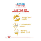Royal Canin Maine Coon 12's Adult Wet Cat Food 85g - 12pcs
