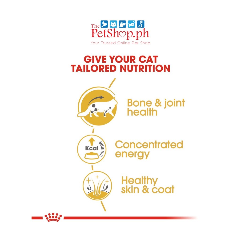 Royal Canin Maine Coon 12's Adult Wet Cat Food 85g - 12pcs