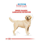 Royal Canin Labrador Retriever 3kg Adult Food-Breed Health Nutrition - Royal Canin