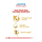 Royal Canin  Bichon Frise 500g Adult Dry Dog Food -Breed Health Nutrition