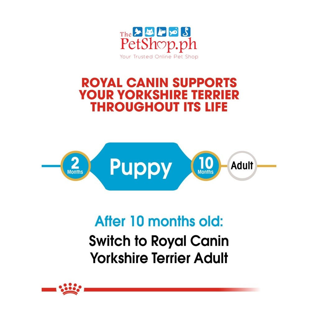 Royal Canin Yorkshire Puppy 1.5kg - 1.5kg RC