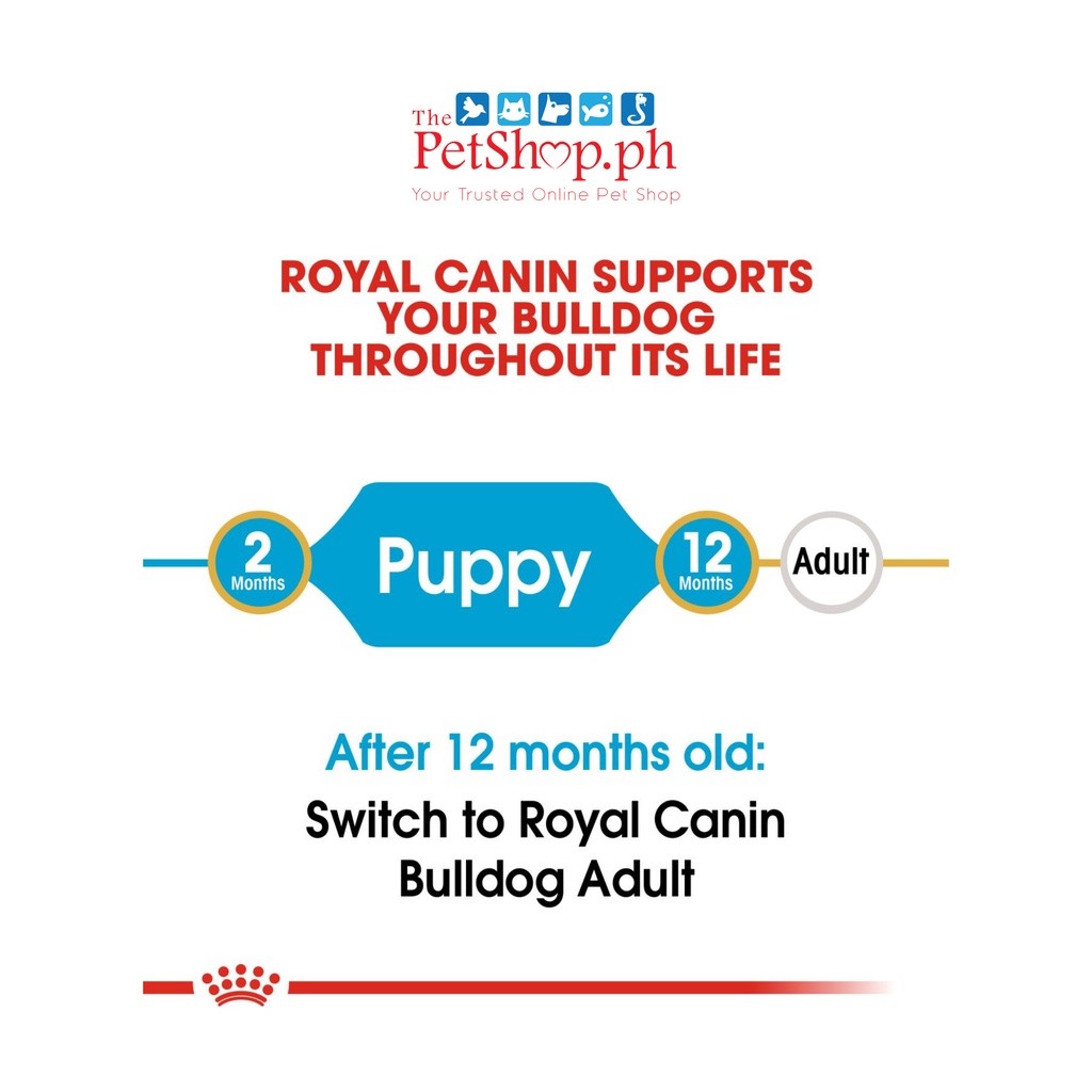 Royal Canin  Bulldog Puppy 3kg